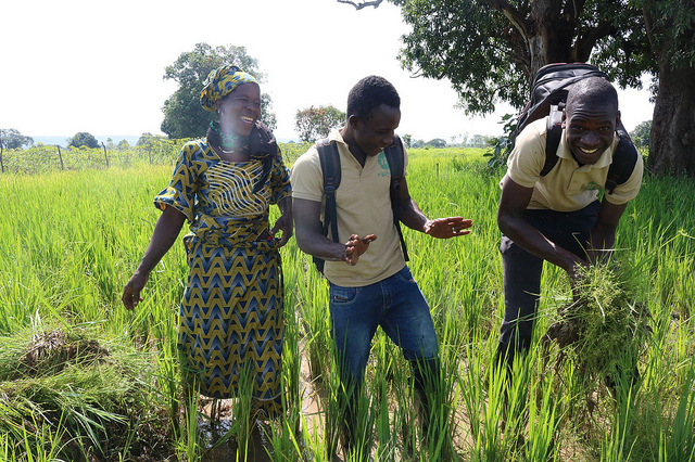 Smiling for Sorghum - Natalie Brown, MyAgro, Mali. Photo credit: USAID Agrilinks.