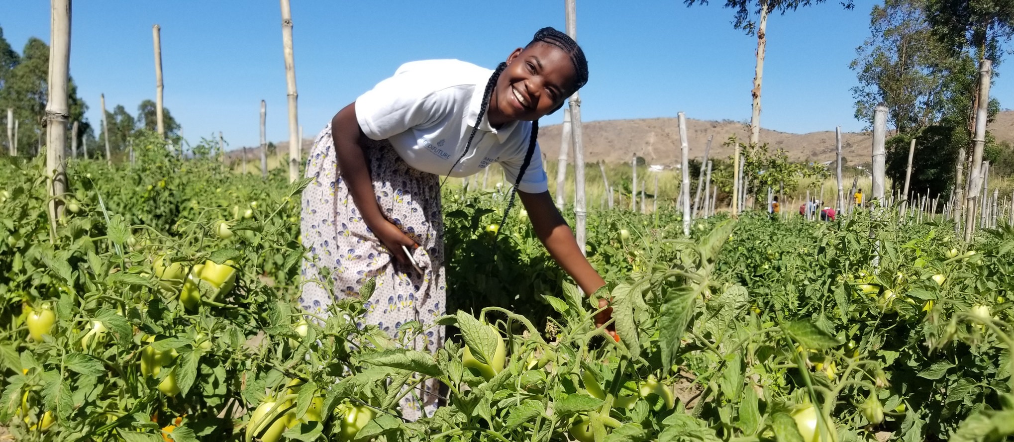 Growing Tomatoes in Tanzania. Photo credit: Feed the Future