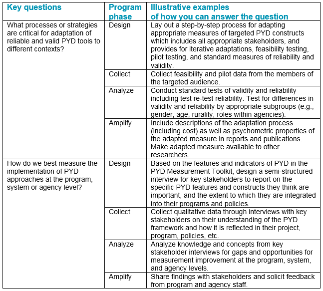 Potential strategies to address Theme 3: Measurement of PYD Constructs