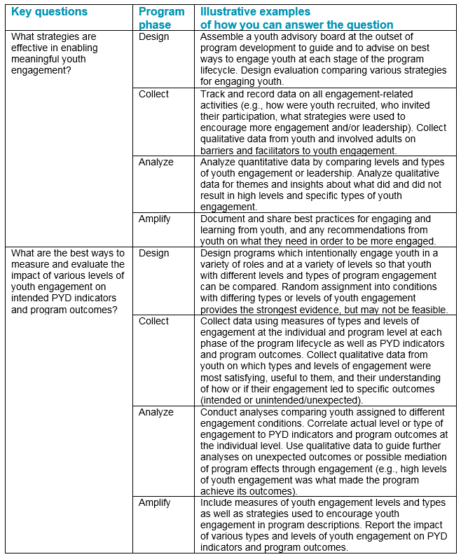 Potential strategies to address Theme 5: Youth Engagement in PYD Programs