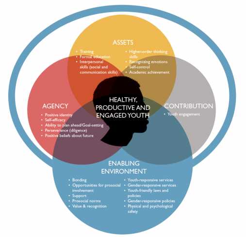 Ven diagram for PYD framework showing: assets, agency, contribution and enabling environment in interlocking circles