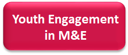 Youth Engagement in M&E