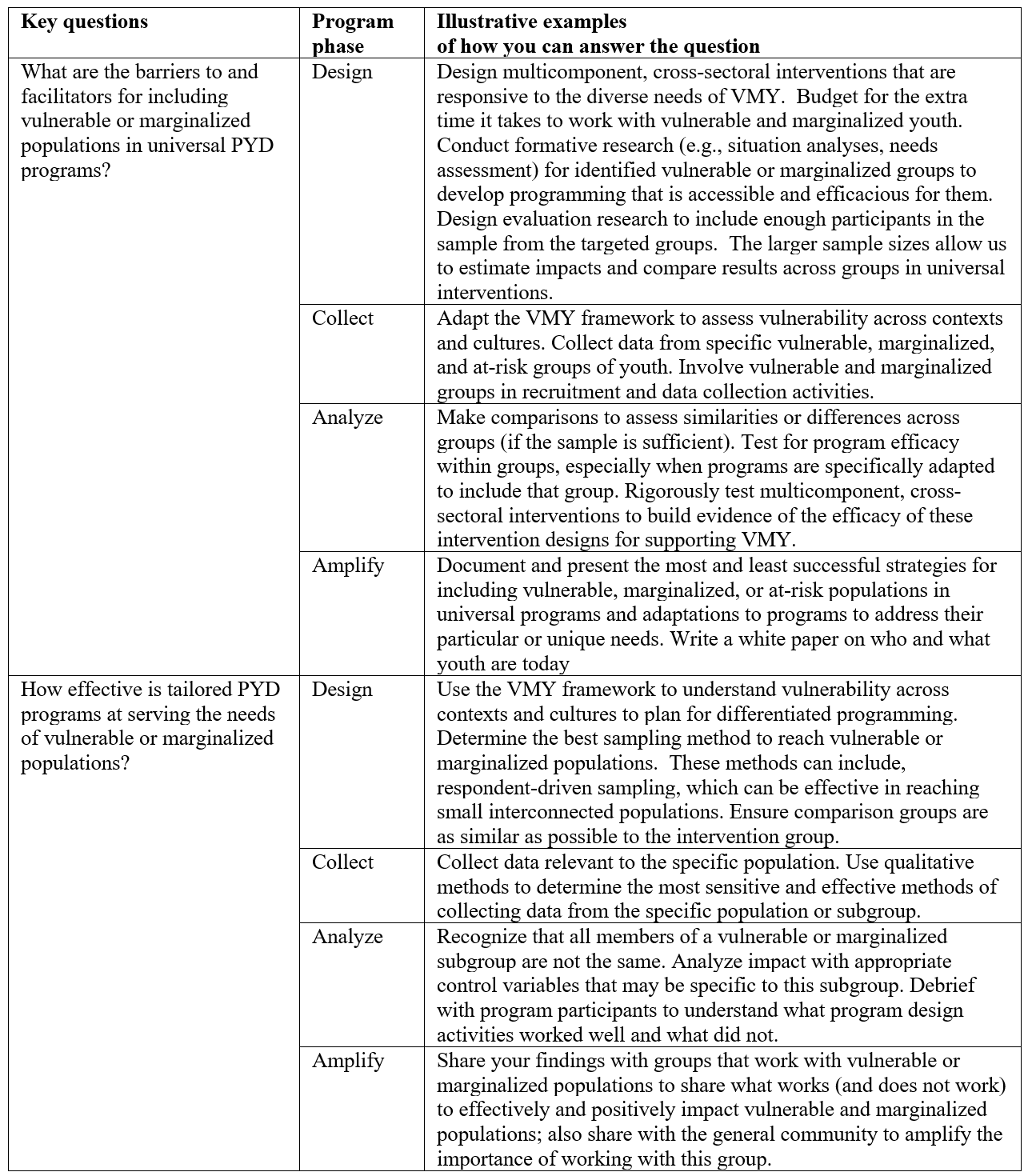 Potential strategies to address Theme 4: PYD for Vulnerable or Marginalized Populations