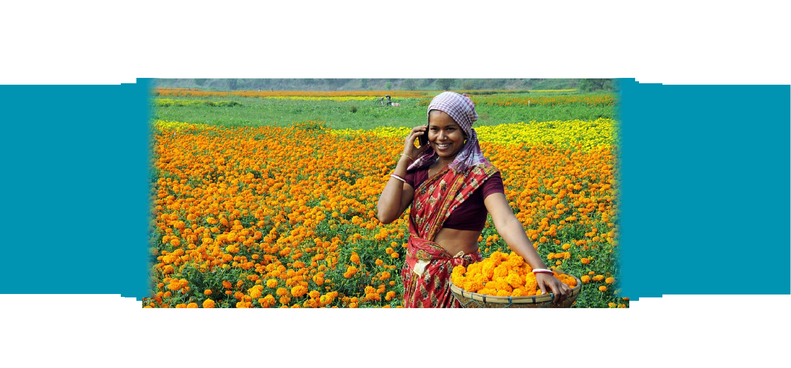 A girl on her cell phone in a field of flowers. Photo credit: Photoshare